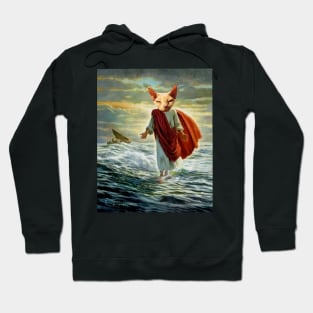 Walk On Water Hoodie